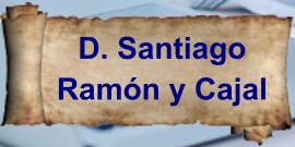 D. Santiago Ramón y Cajal