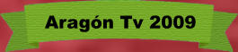 Aragón Tv 2009
